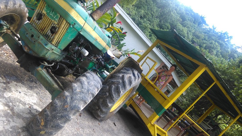 Emma arrives in style at the Banana Plantation Emma arrives at the banana plantation on the back of a tractor