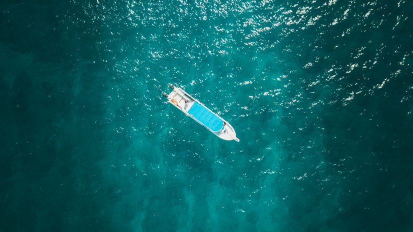 Discover a wide variety of species as you go fishing Turks and Caicos 