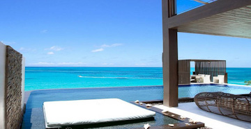 Sea horse at Jumby Bay.  One of the finest Antigua luxury Villas