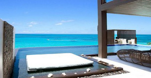 Sea horse at Jumby Bay.  One of the finest Antigua luxury Villas