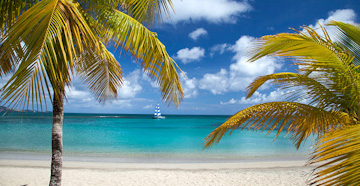 The tree covered slopes of St John decend into deep blue tropical waters.