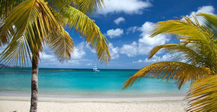 The tree covered slopes of St John decend into deep blue tropical waters.